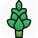 Artichoke Plant Healthy Icon