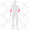 Articulation  Icône