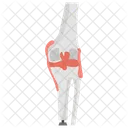 인공 인간 무릎  아이콘