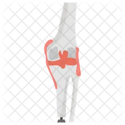 Artificial Human Knee  Icon