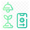 Artificial light  Icon