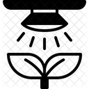 Artificial light  Icon