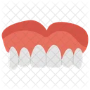 Artificial Teeth  Icon