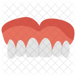 Artificial Teeth  Icon