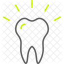 Artificial teeth  Icon