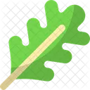 Arugula Leaf Vegetable Icon