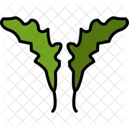 Arugula  Icon