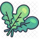 Arugula Rucola Leaf Icon