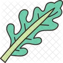 Arugula Leaf Greens Icon