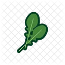 Arugula Food Healthy Icon