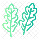 Arugula  Icon