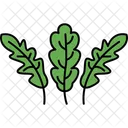 Arugula  Icon