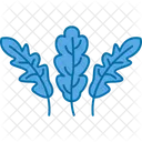 Arugula  Icon