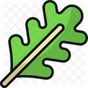 Arugula  Icon