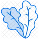 Arugula leaf  Icon