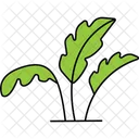 Arugula Leaves Arugula Leafy Greens Icon