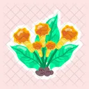 Arum Lilies  Icon