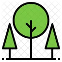 Arvore Planta Natureza Icon