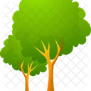 Arvore Natureza Planta Icon