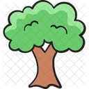 Arvore Floresta Natureza Icon