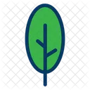 Botanico Quintal Arvore Icon