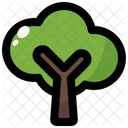 Arvore Primavera Natureza Icon