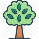 Arvore Planta Primavera Icon