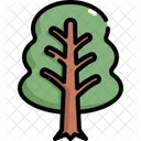 Arvore Natureza Botanico Icon