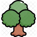 Arvore Natureza Botanico Icon