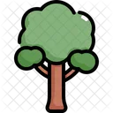 Arvore Natureza Botanico Icon