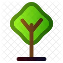 Arvore Planta Primavera Icon