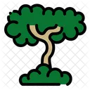 Arvore Natureza Planta Icon