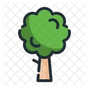 Arvore Natureza Verde Icon