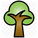 Arvore Primavera Verde Icon