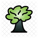 Arvore Floresta Verde Icon