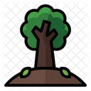 Arvore Floresta Natureza Icon