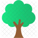 Arvore Planta Verde Icon