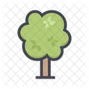 Arvore Planta Floresta Icon