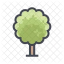 Arvore Planta Floresta Icon