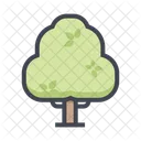 Arvore Planta Floresta Icon