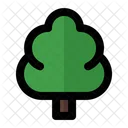 Arvore Planta Fundo Icon