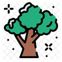 Arvore Planta Floresta Icon