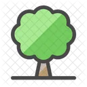 Arvore Planta Crescer Icon