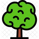 Arvore Floresta Natureza Icon