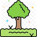 Arvore Planta Floresta Icon