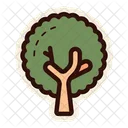 Arvore Natureza Planta Icon