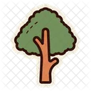 Arvore Natureza Planta Icon