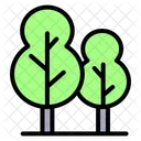 Arvore Natureza Planta Icon