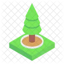 Vegetacao Arvore Conifera Arbusto Icon