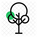 Árvore  Icon